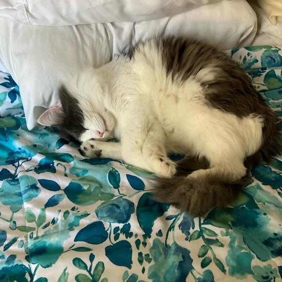 Thank you for visiting my Poshmark Level II Five (5) Star 🌟 Same Day Ship Closet - Picture 8 of 11